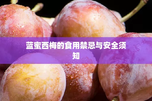 蓝蜜西梅的食用禁忌与安全须知