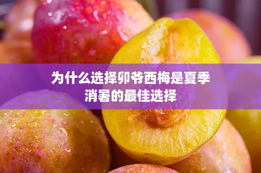 为什么选择卯爷西梅是夏季消暑的最佳选择