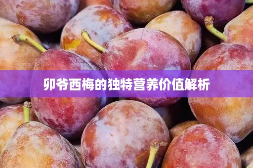 卯爷西梅的独特营养价值解析