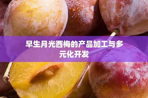 早生月光西梅的产品加工与多元化开发