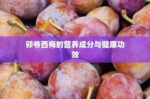 卯爷西梅的营养成分与健康功效