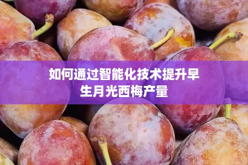 如何通过智能化技术提升早生月光西梅产量