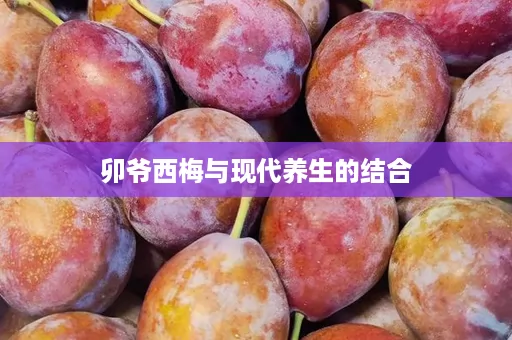 卯爷西梅与现代养生的结合