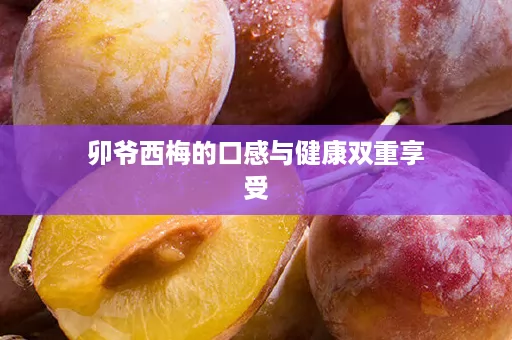 卯爷西梅的口感与健康双重享受