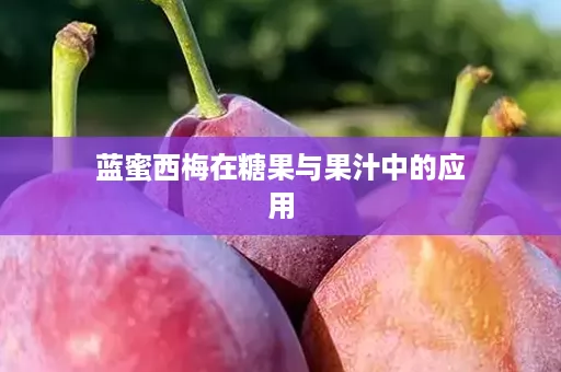 蓝蜜西梅在糖果与果汁中的应用