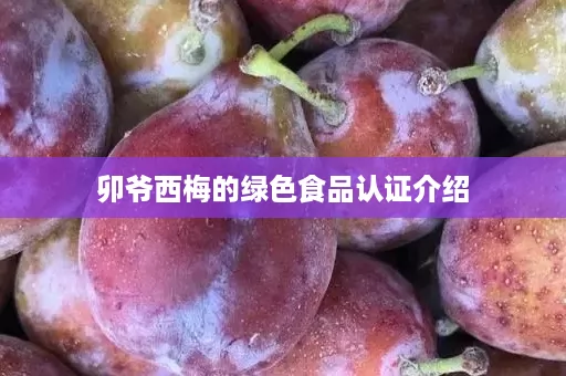 卯爷西梅的绿色食品认证介绍