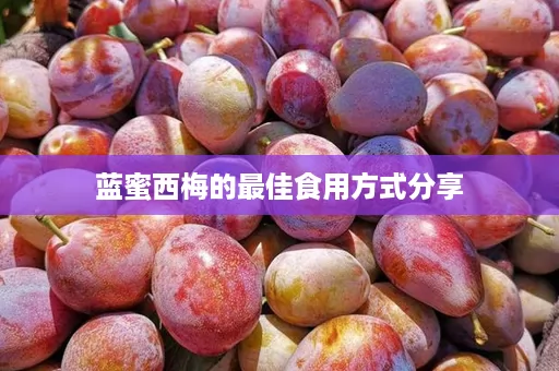 蓝蜜西梅的最佳食用方式分享
