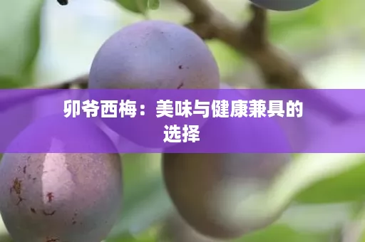 卯爷西梅：美味与健康兼具的选择