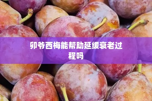 卯爷西梅能帮助延缓衰老过程吗