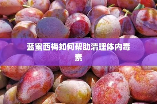 蓝蜜西梅如何帮助清理体内毒素