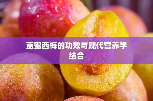 蓝蜜西梅的功效与现代营养学结合