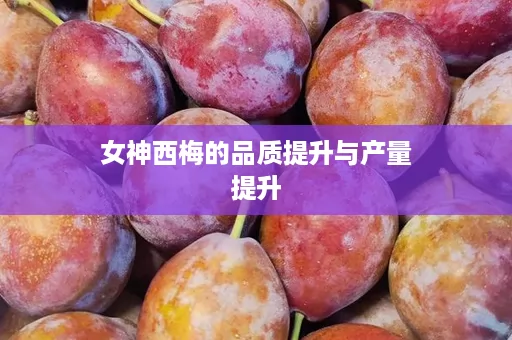 女神西梅的品质提升与产量提升