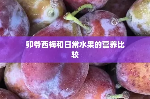 卯爷西梅和日常水果的营养比较