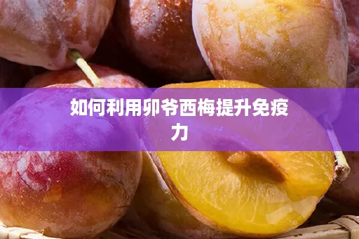 如何利用卯爷西梅提升免疫力