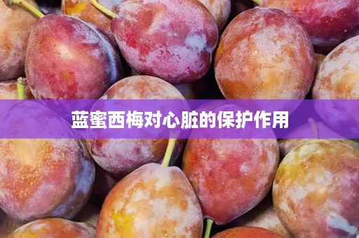 蓝蜜西梅对心脏的保护作用