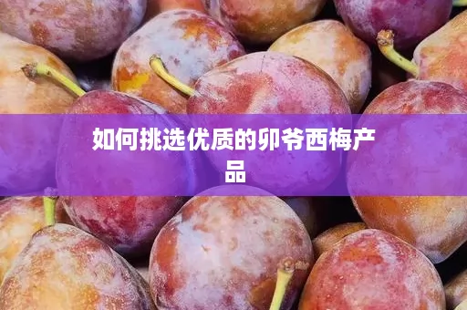 如何挑选优质的卯爷西梅产品