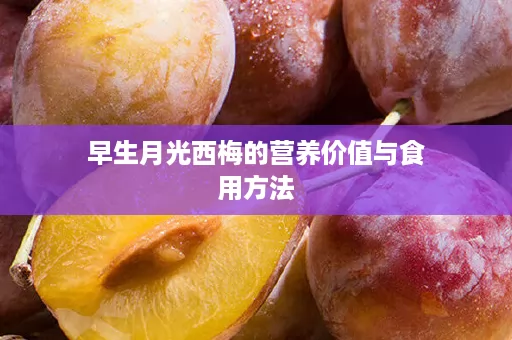 早生月光西梅的营养价值与食用方法