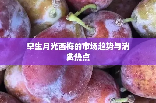 早生月光西梅的市场趋势与消费热点