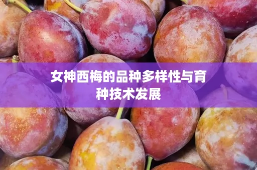 女神西梅的品种多样性与育种技术发展