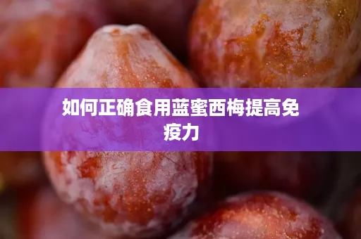 如何正确食用蓝蜜西梅提高免疫力