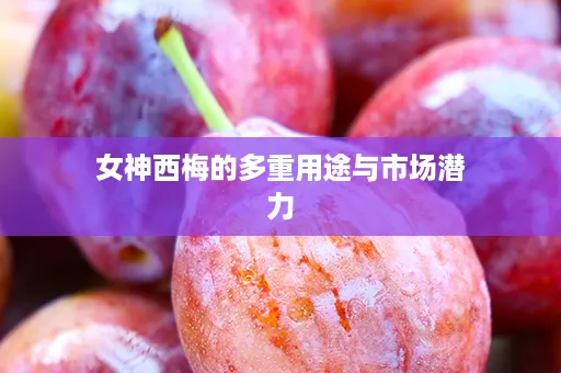 女神西梅的多重用途与市场潜力
