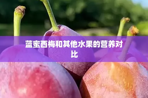 蓝蜜西梅和其他水果的营养对比