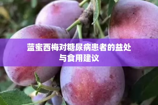 蓝蜜西梅对糖尿病患者的益处与食用建议