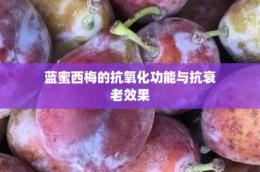 蓝蜜西梅的抗氧化功能与抗衰老效果