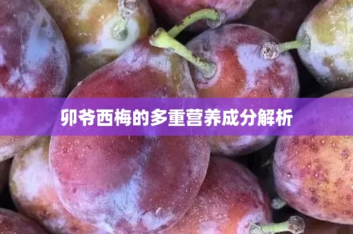 卯爷西梅的多重营养成分解析