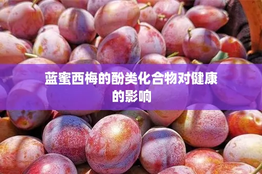 蓝蜜西梅的酚类化合物对健康的影响
