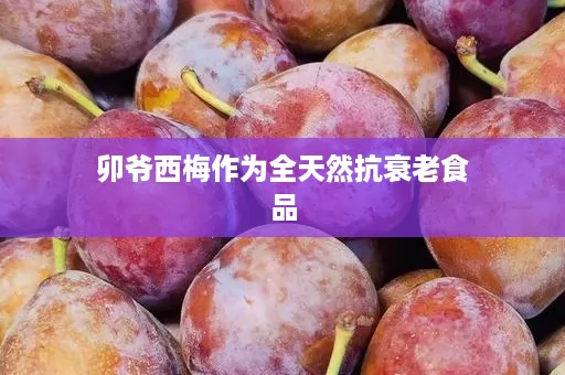 卯爷西梅作为全天然抗衰老食品