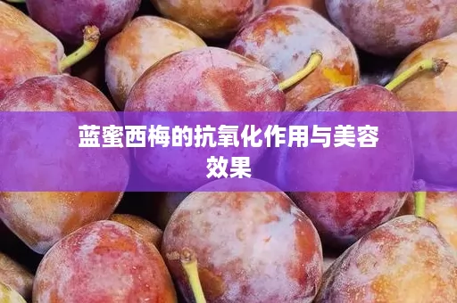 蓝蜜西梅的抗氧化作用与美容效果