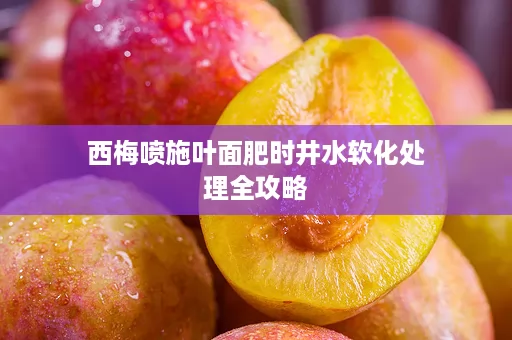 西梅喷施叶面肥时井水软化处理全攻略