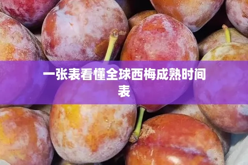 一张表看懂全球西梅成熟时间表