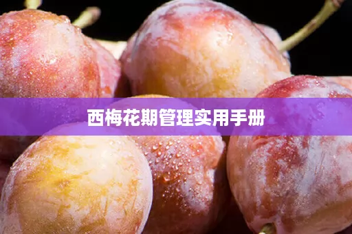 西梅花期管理实用手册