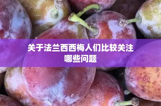 关于法兰西西梅人们比较关注哪些问题